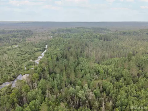 View/Area - N10175 Co 581, Ralph, MI 49877 photo 2 of 2