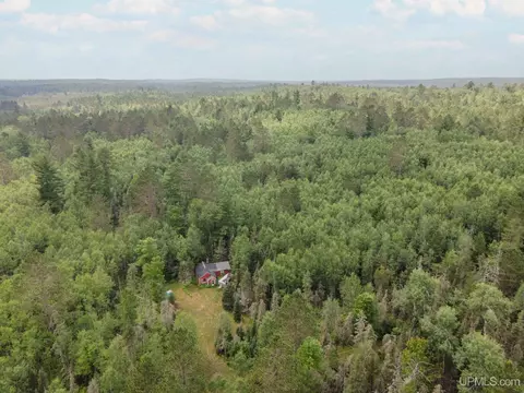 Other - N10175 Co 581, Ralph, MI 49877 photo 3 of 5