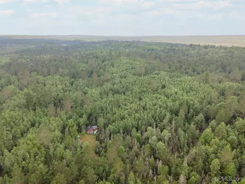 View/Area - N10175 Co 581, Ralph, MI 49877 photo 1 of 2
