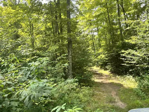 17290 County Road 468, Newberry, MI 49868