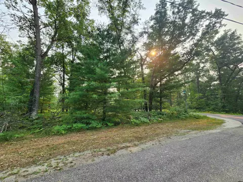 lot98 Wilderness, Alger, MI 48610