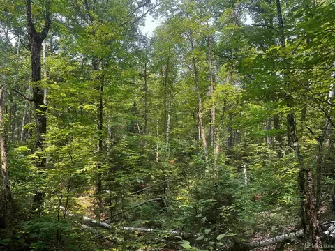 120 Acres Willow Crk, Ishpeming, MI 49849 photo 24