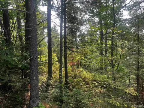 120 Acres Willow Crk, Ishpeming, MI 49849 photo 14