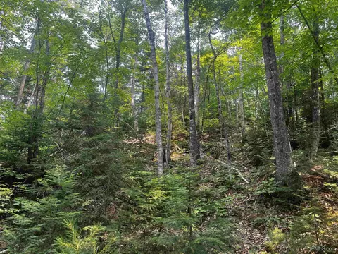 120 Acres Willow Crk, Ishpeming, MI 49849 photo 26