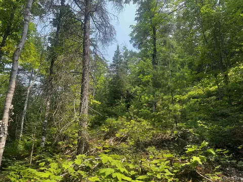 120 Acres Willow Crk, Ishpeming, MI 49849 photo 3
