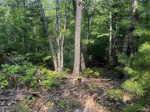120 Acres Willow Crk, Ishpeming, MI 49849 photo 23
