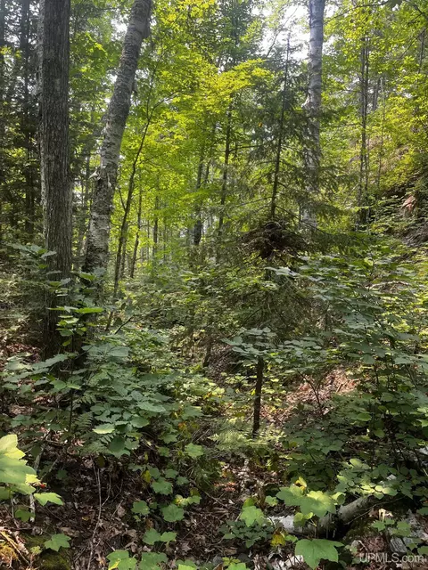 120 Acres Willow Crk, Ishpeming, MI 49849 photo 29