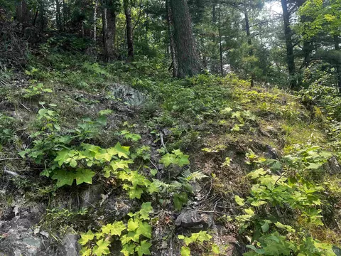 120 Acres Willow Crk, Ishpeming, MI 49849 photo 9