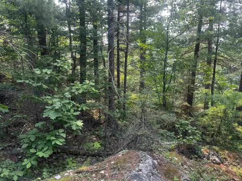120 Acres Willow Crk, Ishpeming, MI 49849 photo 4