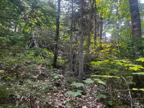 120 Acres Willow Crk, Ishpeming, MI 49849 photo 21