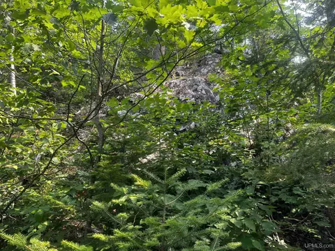 120 Acres Willow Crk, Ishpeming, MI 49849 photo 13