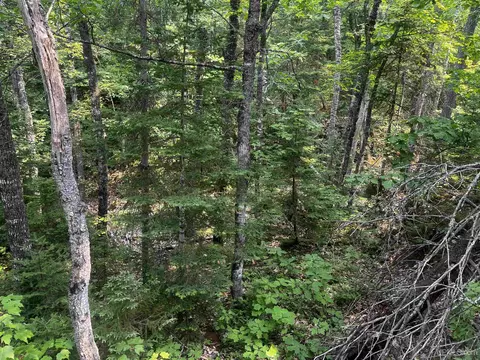 120 Acres Willow Crk, Ishpeming, MI 49849 photo 20