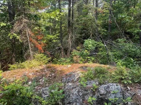 120 Acres Willow Crk, Ishpeming, MI 49849 photo 15