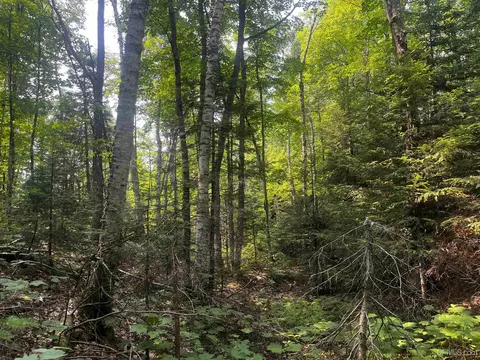 120 Acres Willow Crk, Ishpeming, MI 49849 photo 28