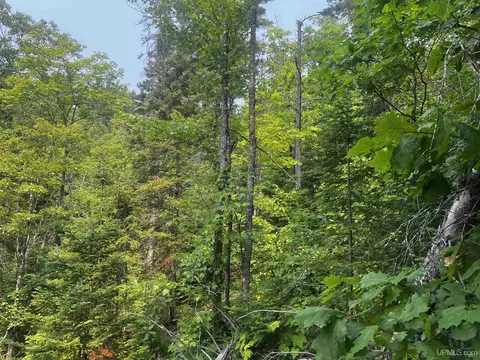 120 Acres Willow Crk, Ishpeming, MI 49849 photo 12