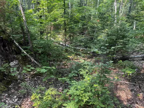 120 Acres Willow Crk, Ishpeming, MI 49849 photo 25