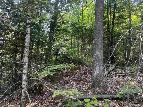120 Acres Willow Crk, Ishpeming, MI 49849 photo 2
