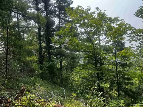 120 Acres Willow Crk, Ishpeming, MI 49849 photo 11
