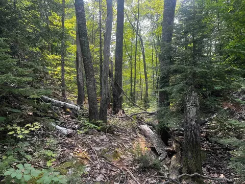 120 Acres Willow Crk, Ishpeming, MI 49849 photo 22
