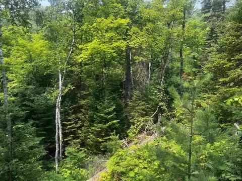 120 Acres Willow Crk, Ishpeming, MI 49849 photo 10