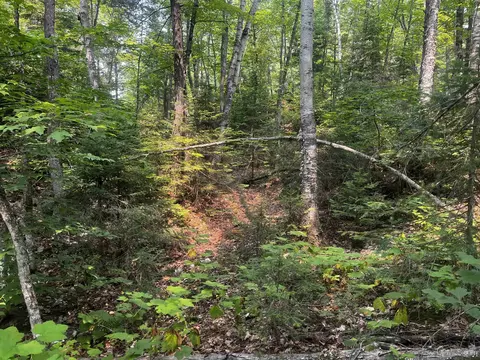 120 Acres Willow Crk, Ishpeming, MI 49849 photo 27