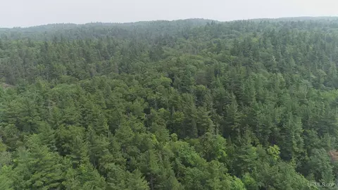 120 Acres Willow Crk, Ishpeming, MI 49849 photo 7