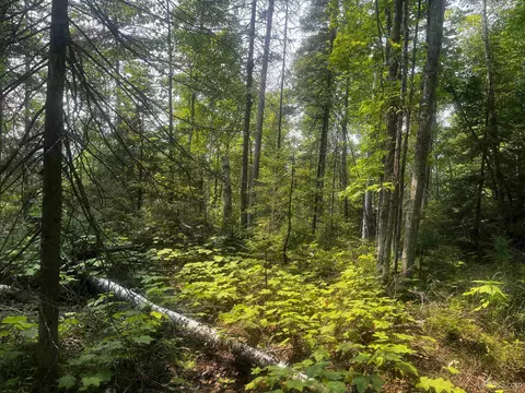 120 Acres Willow Crk, Ishpeming, MI 49849 photo 30