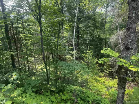 120 Acres Willow Crk, Ishpeming, MI 49849 photo 8