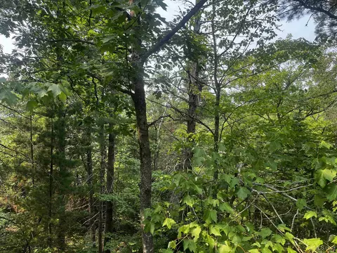 120 Acres Willow Crk, Ishpeming, MI 49849 photo 19