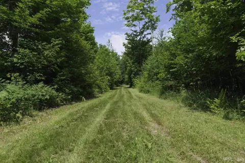 16151 Forest, Rock, MI 49880 photo 38