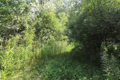 Luce, Flushing, MI 48433 photo 4