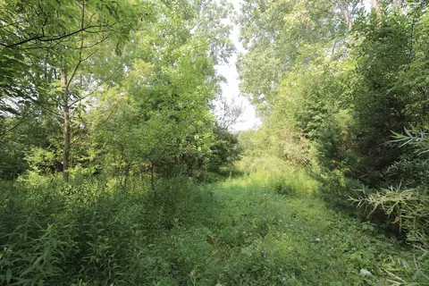 Luce, Flushing, MI 48433 photo 2