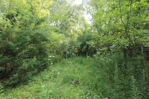 Luce, Flushing, MI 48433 photo 5
