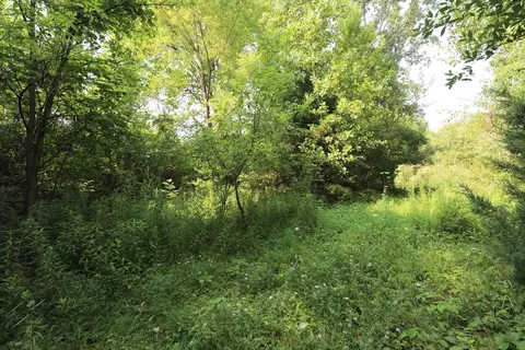 Luce, Flushing, MI 48433 photo 3