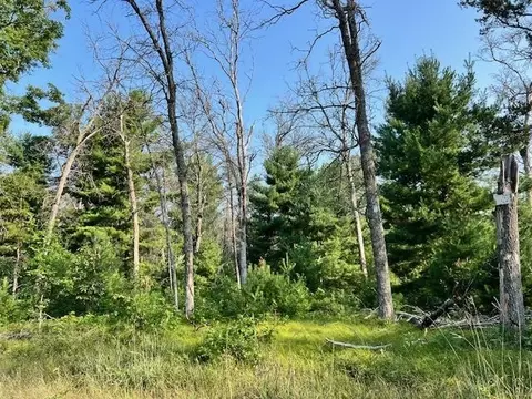 10 Acres Hughes, Harrison, MI 48625 photo 4