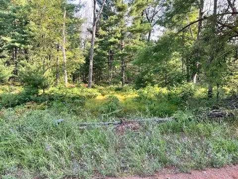 10 Acres Hughes, Harrison, MI 48625 photo 3