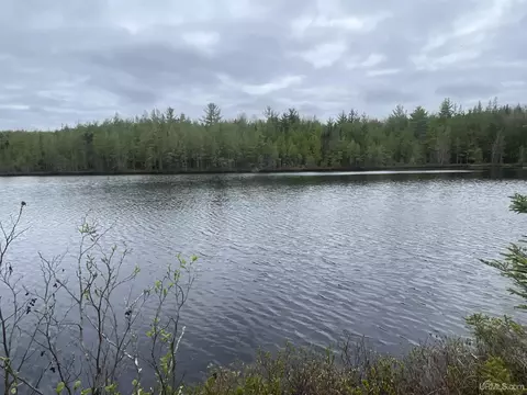 12148 33, Rapid River, MI 49878 photo 3