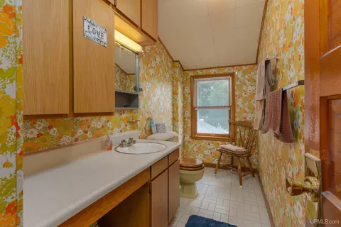 Bath - 205 Fourth, Alpha, MI 49902 photo 2 of 2