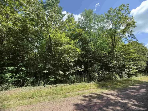 tbd Tree Top, Ironwood, MI 49938