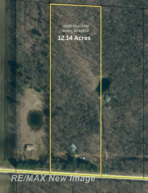 View/Area - 19650 Ithaca, Brant, MI 48614 photo 1 of 1