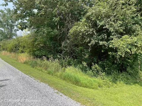 0 Townline, Birch Run, MI 48415