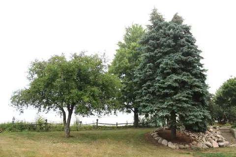 3955 E Doherty, Clare, MI 48617 photo 20