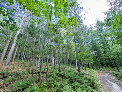 tbd David, Marquette, MI 49855 photo 6