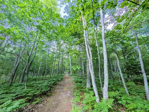 tbd David, Marquette, MI 49855 photo 5