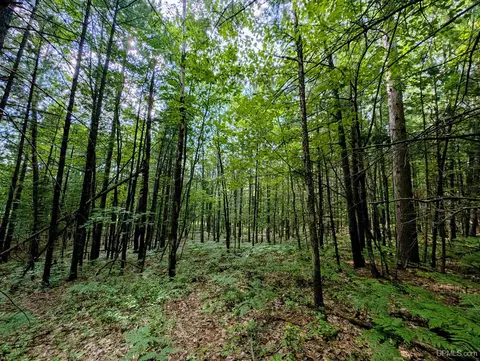 tbd David, Marquette, MI 49855 photo 8