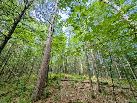 tbd David, Marquette, MI 49855 photo 10