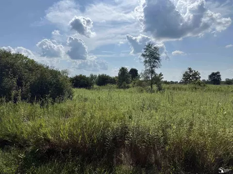 0 Wilcox, Dundee, MI 48131 photo 14