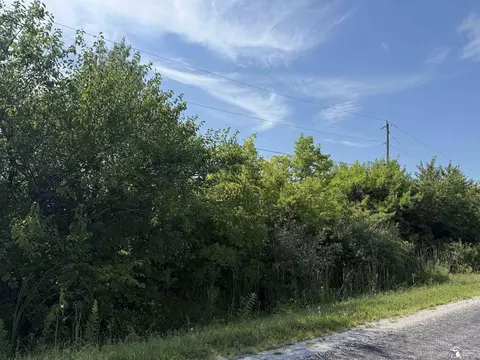 0 Wilcox, Dundee, MI 48131 photo 3