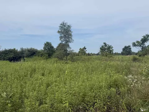 0 Wilcox, Dundee, MI 48131 photo 10