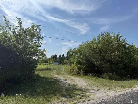 0 Wilcox, Dundee, MI 48131 photo 4